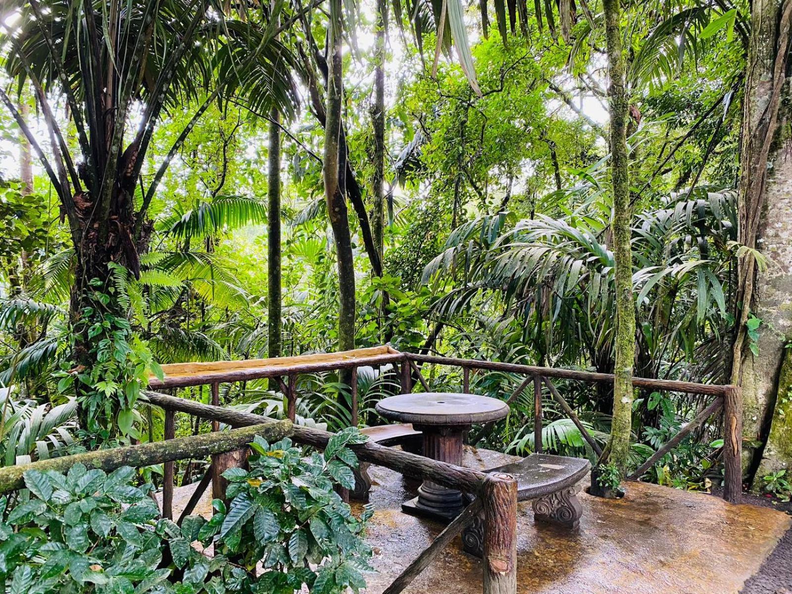 Wellness Park Cr Villa La Fortuna Bagian luar foto